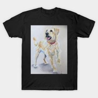 Labradoodle T-Shirt